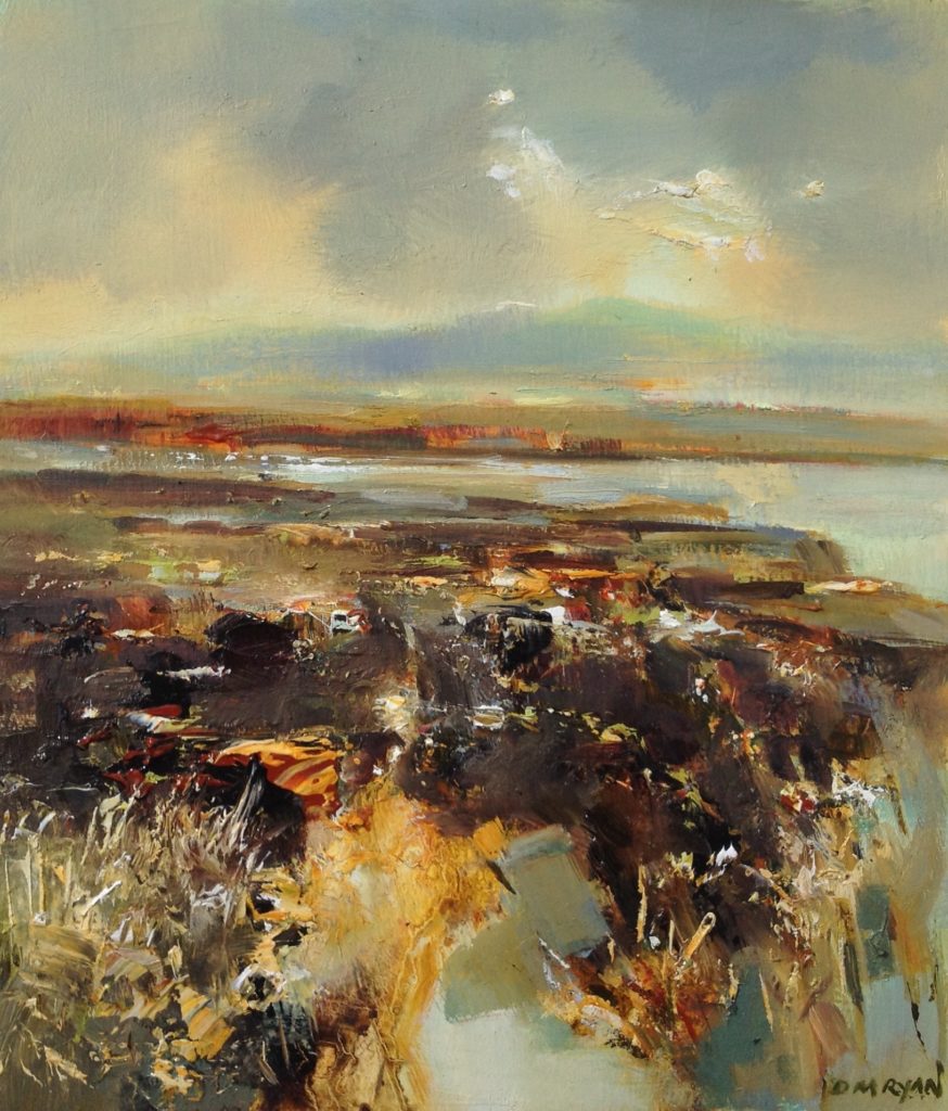 Connemara Bog | Denise M. Ryan – The Whitethorn Gallery