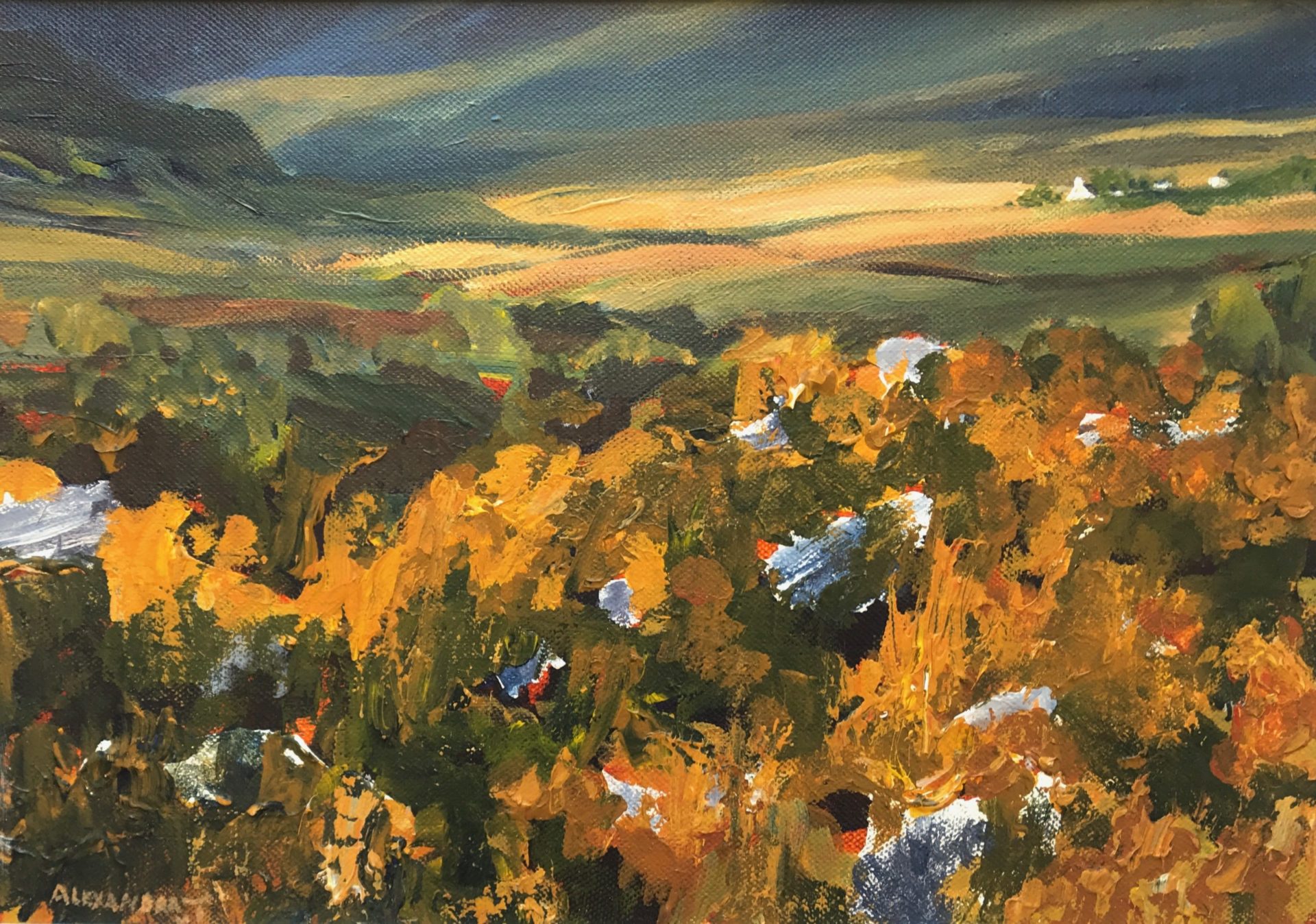 Into the Hills | Alexandra Van Tuyll – The Whitethorn Gallery