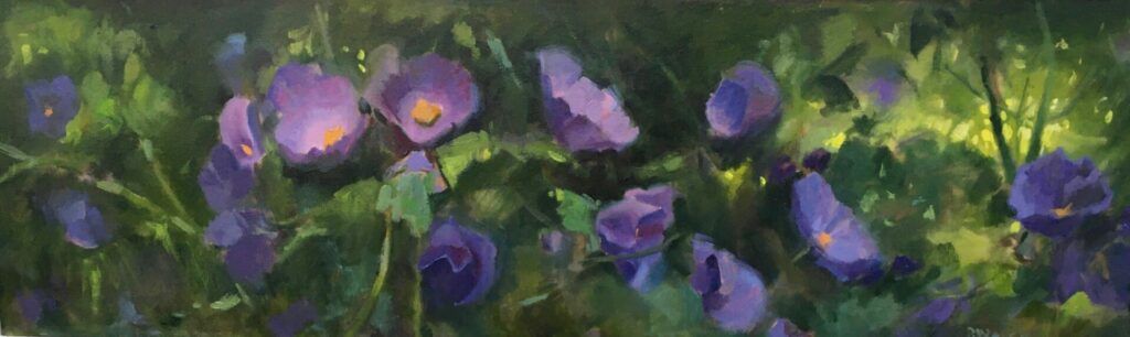Abutilon | Painters – The Whitethorn Gallery