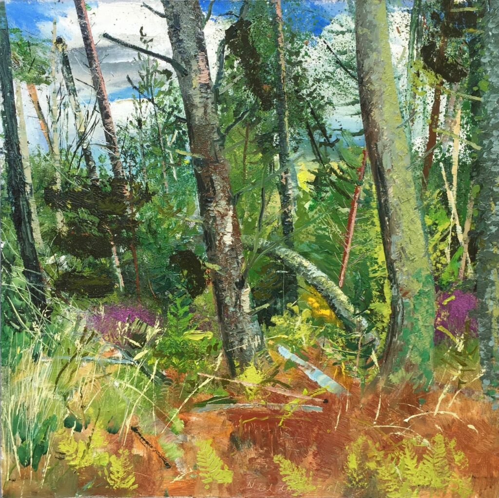 Ballinglen woods | Neal Grieg – The Whitethorn Gallery