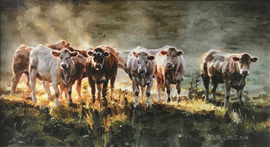 Cattle in the Morning Mist | Painters – The Whitethorn Gallery