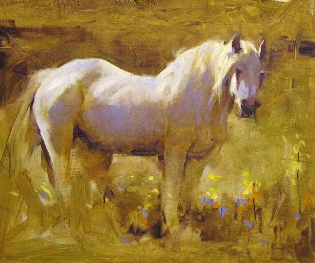 Conamara Pony | Painters – The Whitethorn Gallery