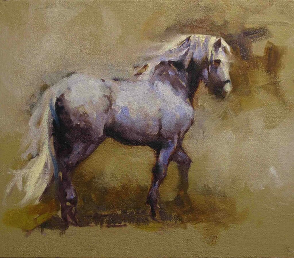 Conamara Pony Study 3 | Patrick Cahill – The Whitethorn Gallery