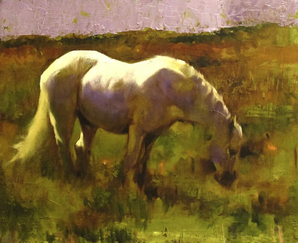 Connamara Pony Grazing | Painters – The Whitethorn Gallery