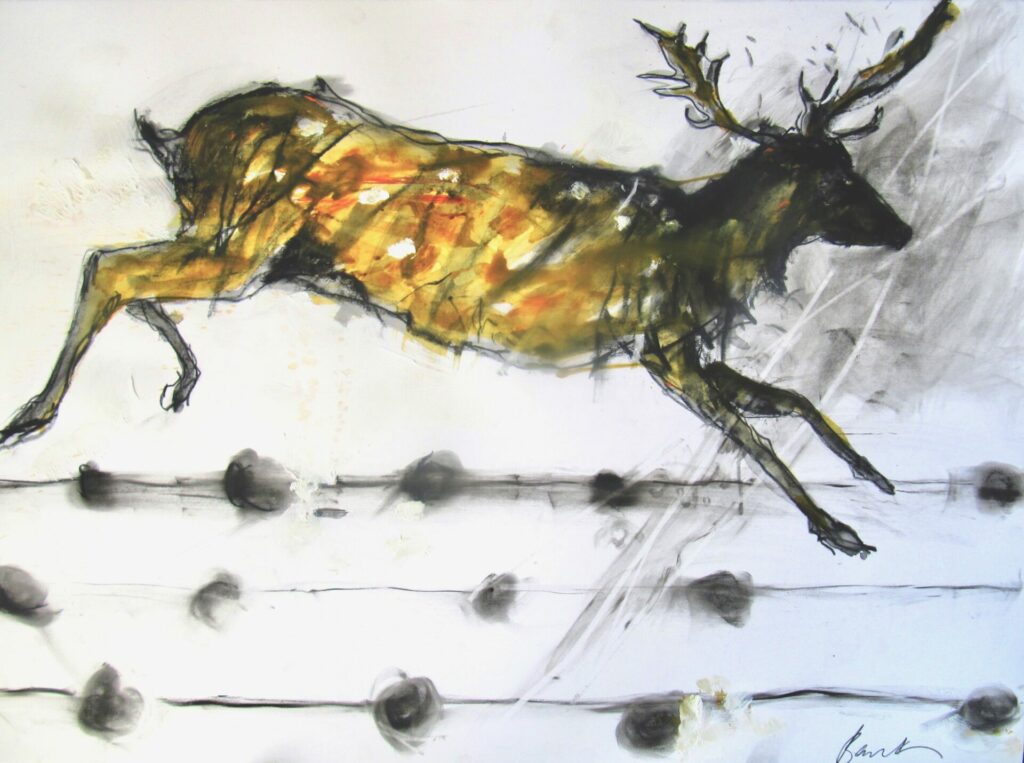 Deer Series 1 | Margo Banks – The Whitethorn Gallery