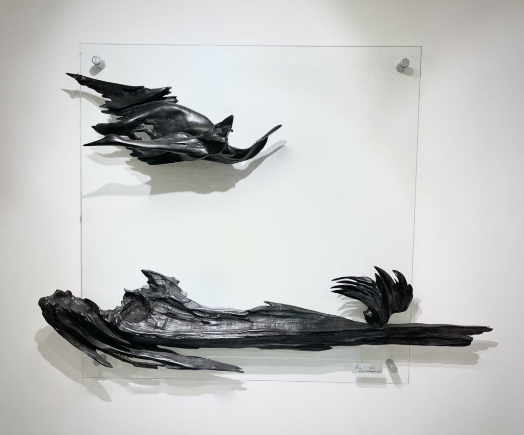 Soaring over the Bog | Brian O’Loughlin – The Whitethorn Gallery