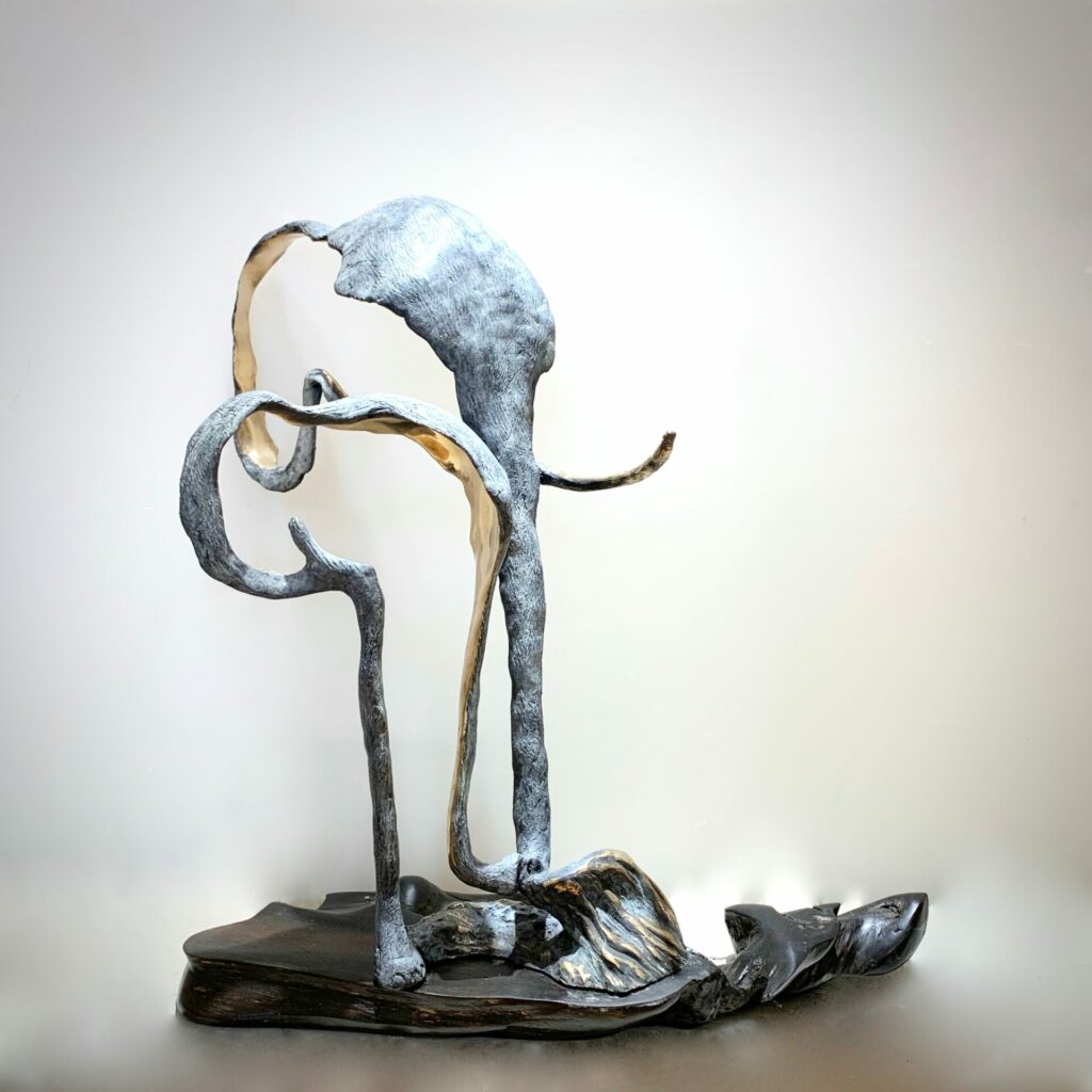 Elephant’s Child | Ani Mollereau – The Whitethorn Gallery