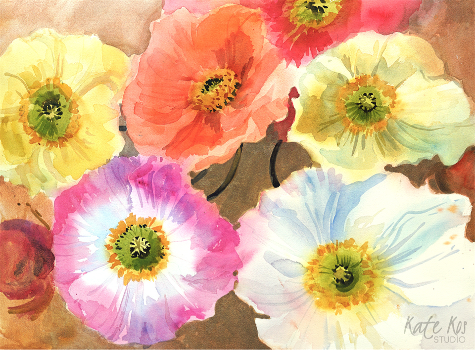 Icelandic Poppies | Painters – The Whitethorn Gallery