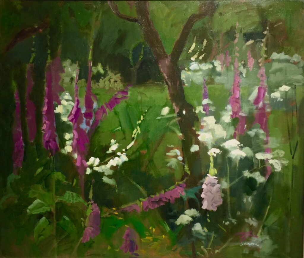 Into The Woods | Deirdre Walsh – The Whitethorn Gallery