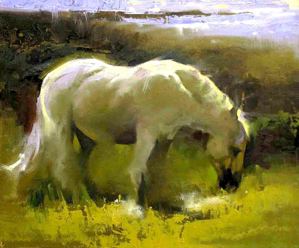 PATRICK  C Connamara Pony Study 1 | Patrick Cahill – The Whitethorn Gallery