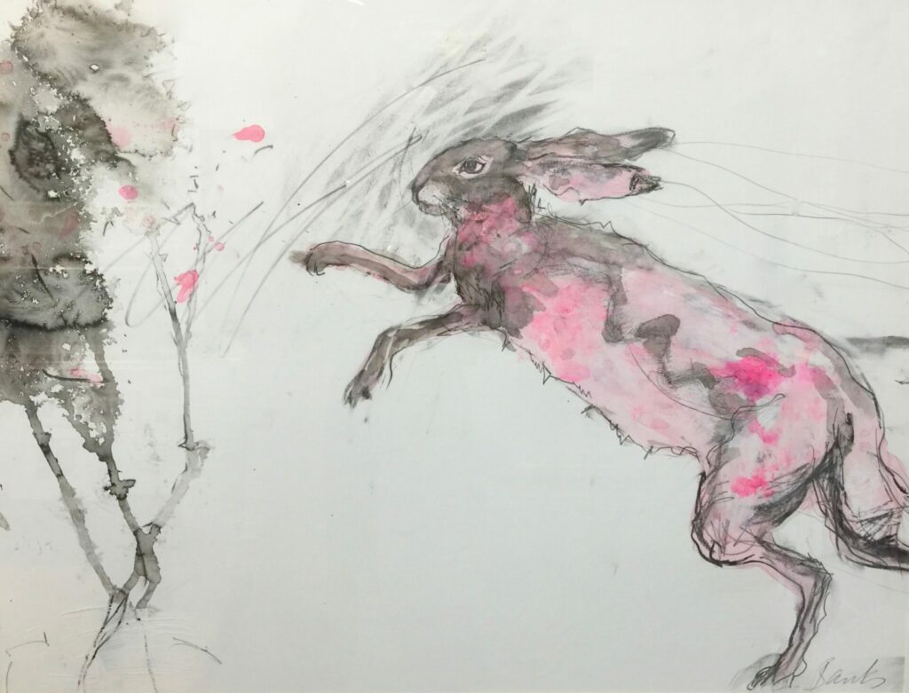 Pink Hare | Painters – The Whitethorn Gallery
