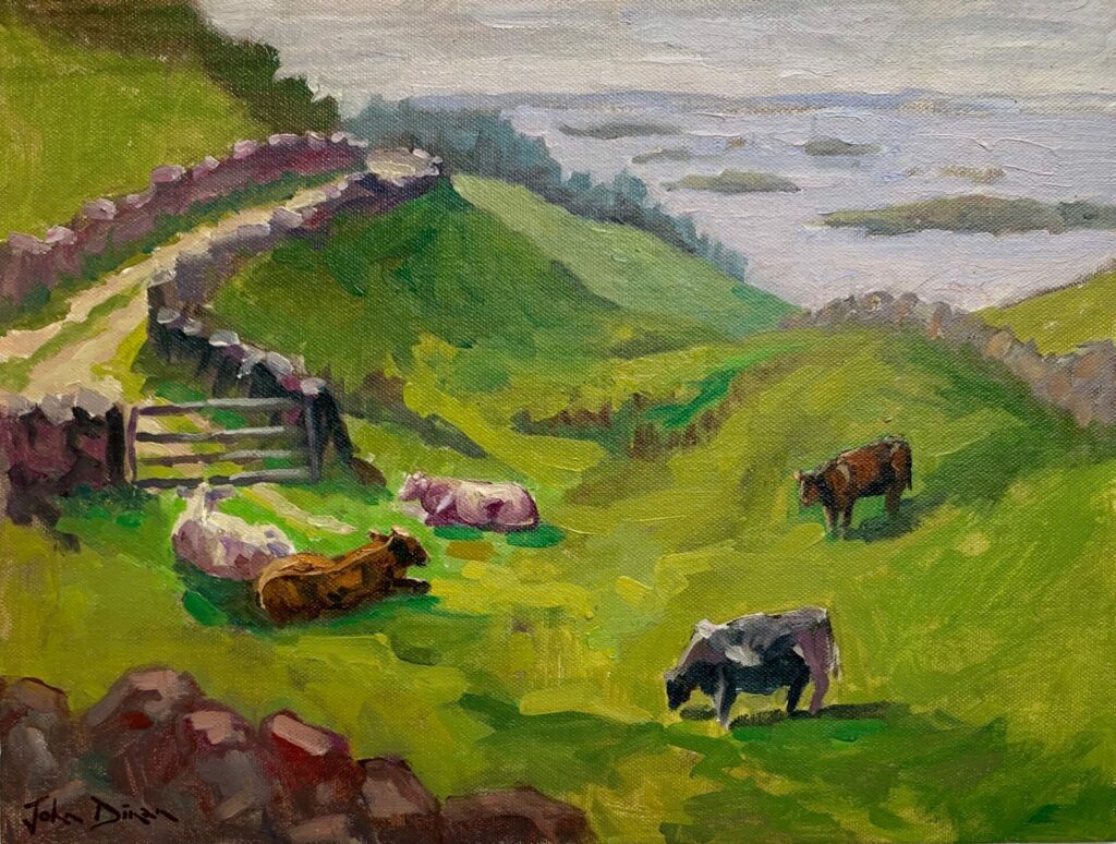 Resting Above Lough Corrib | Painters – The Whitethorn Gallery