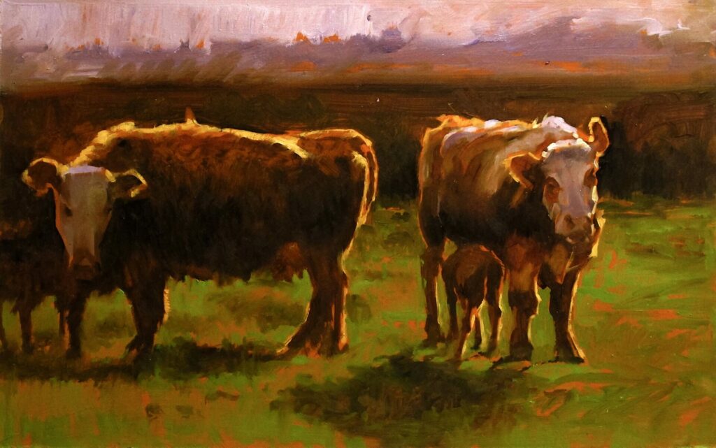 Spring Time, Cattle in Sunshine | Painters – The Whitethorn Gallery