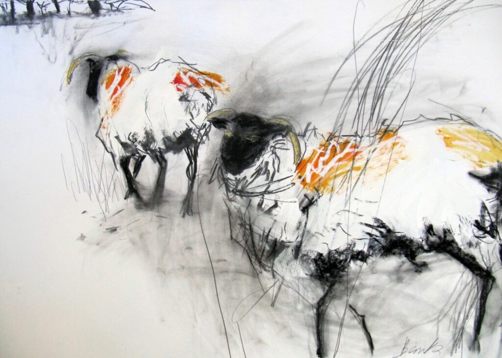 2 Blackface Sheep | Margo Banks – The Whitethorn Gallery