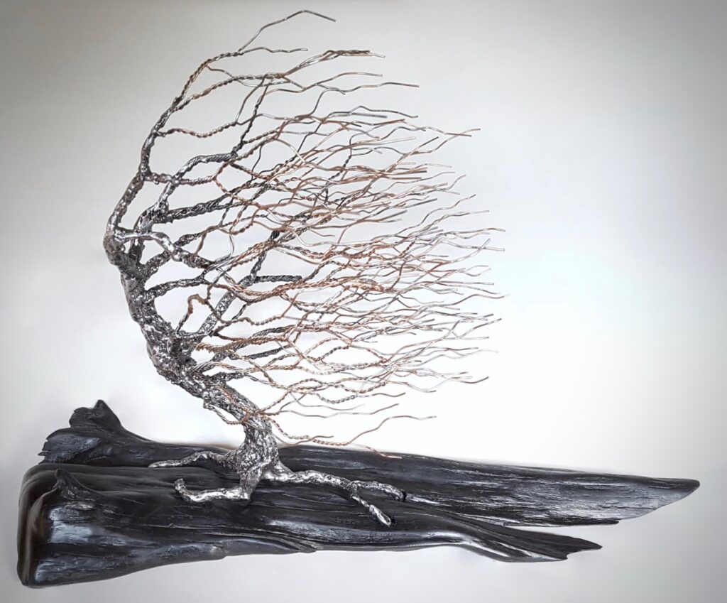 Windswept Tree | Brendán O’Piotáin – The Whitethorn Gallery
