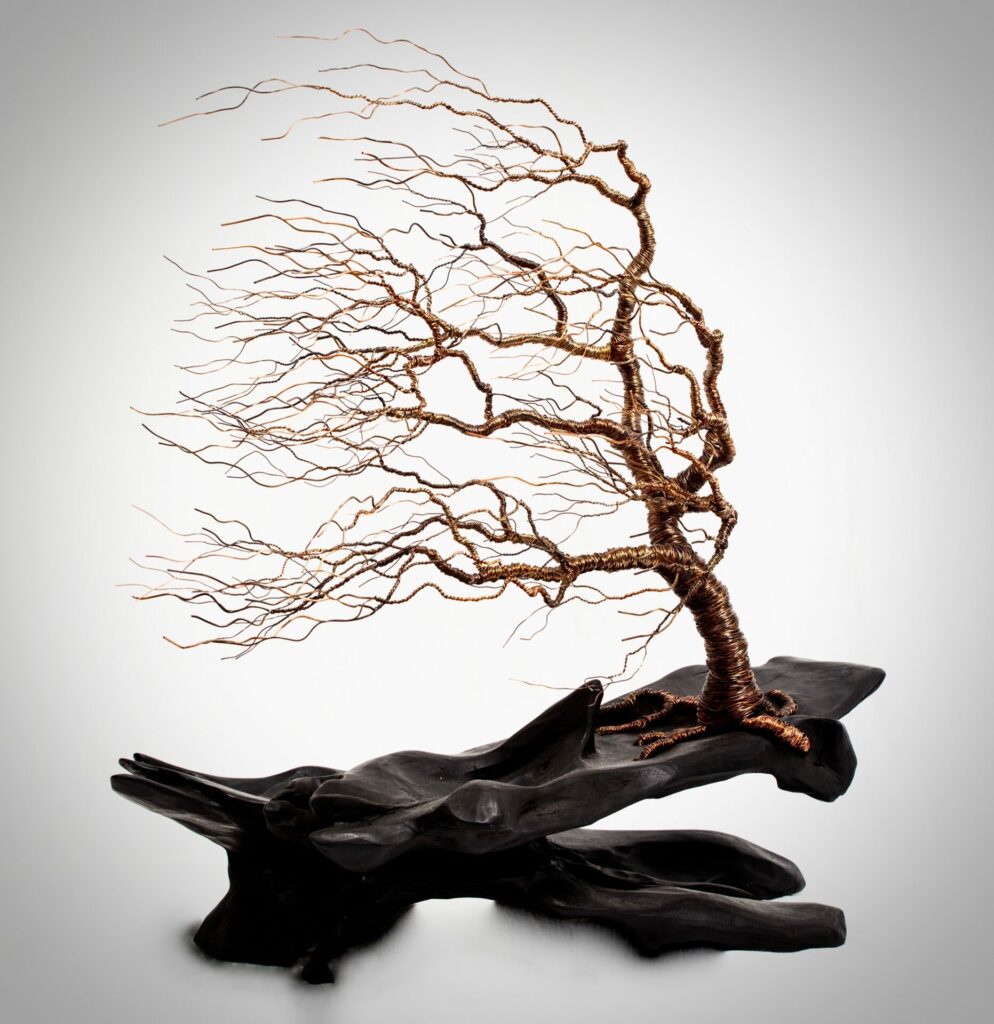 Tree of Life | Brendán O’Piotáin – The Whitethorn Gallery