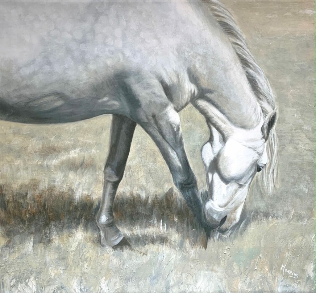 Dappled Grey | Anne Merrins Limited Prints – The Whitethorn Gallery