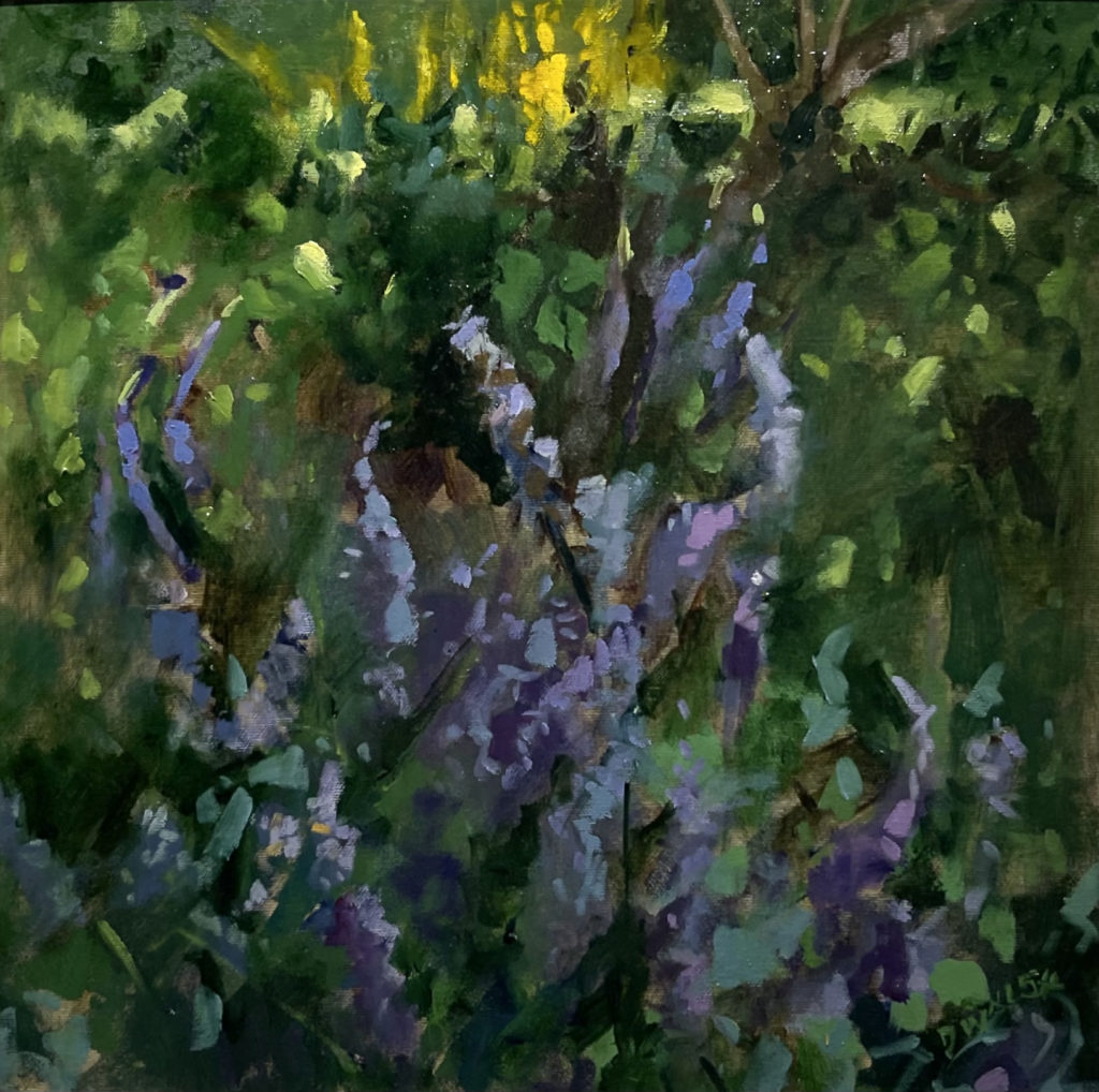 catmint | Painters – The Whitethorn Gallery