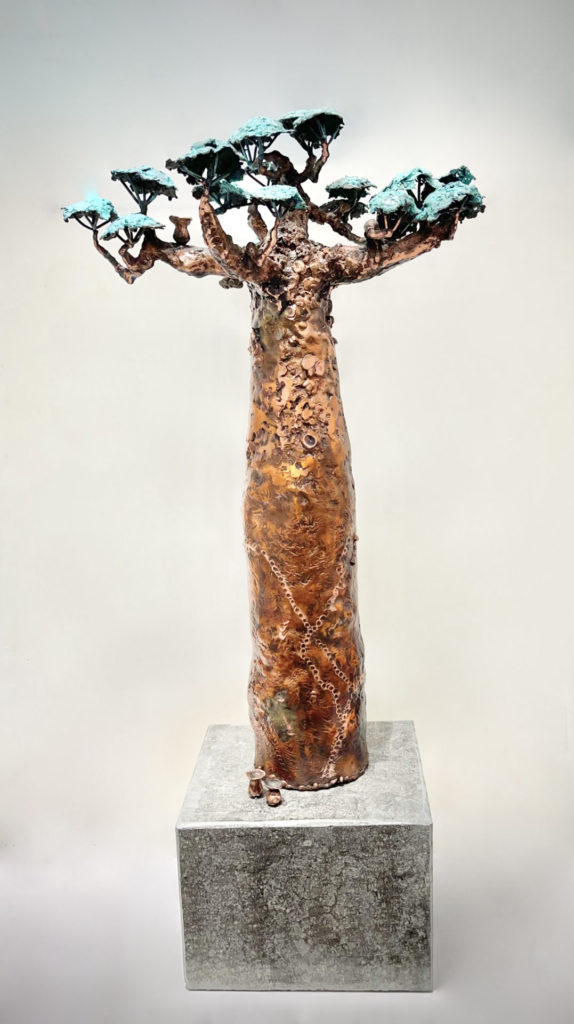 Baobab Tree | Davin Butler – The Whitethorn Gallery