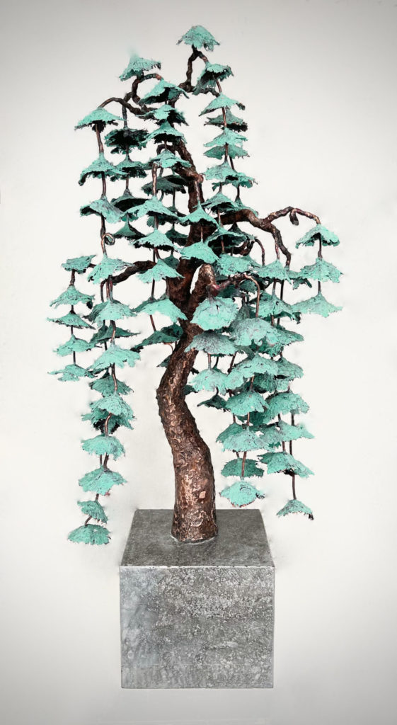 Bonsai | Davin Butler – The Whitethorn Gallery