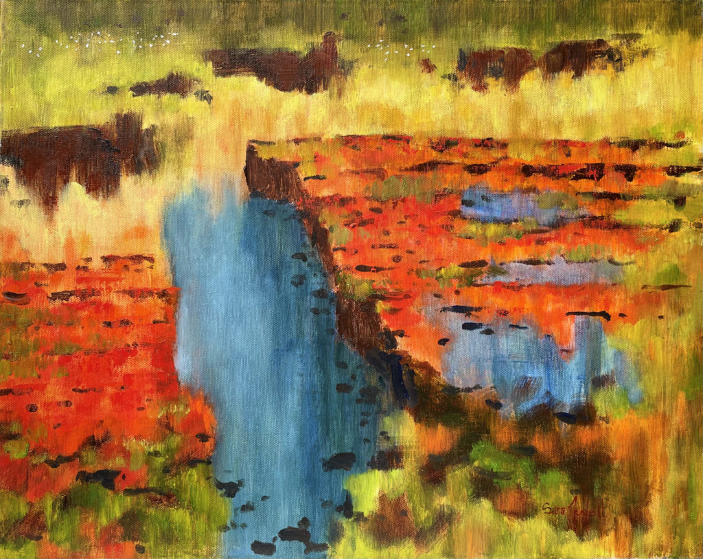 Autumn Bog | Sarah Sue McNeill – The Whitethorn Gallery
