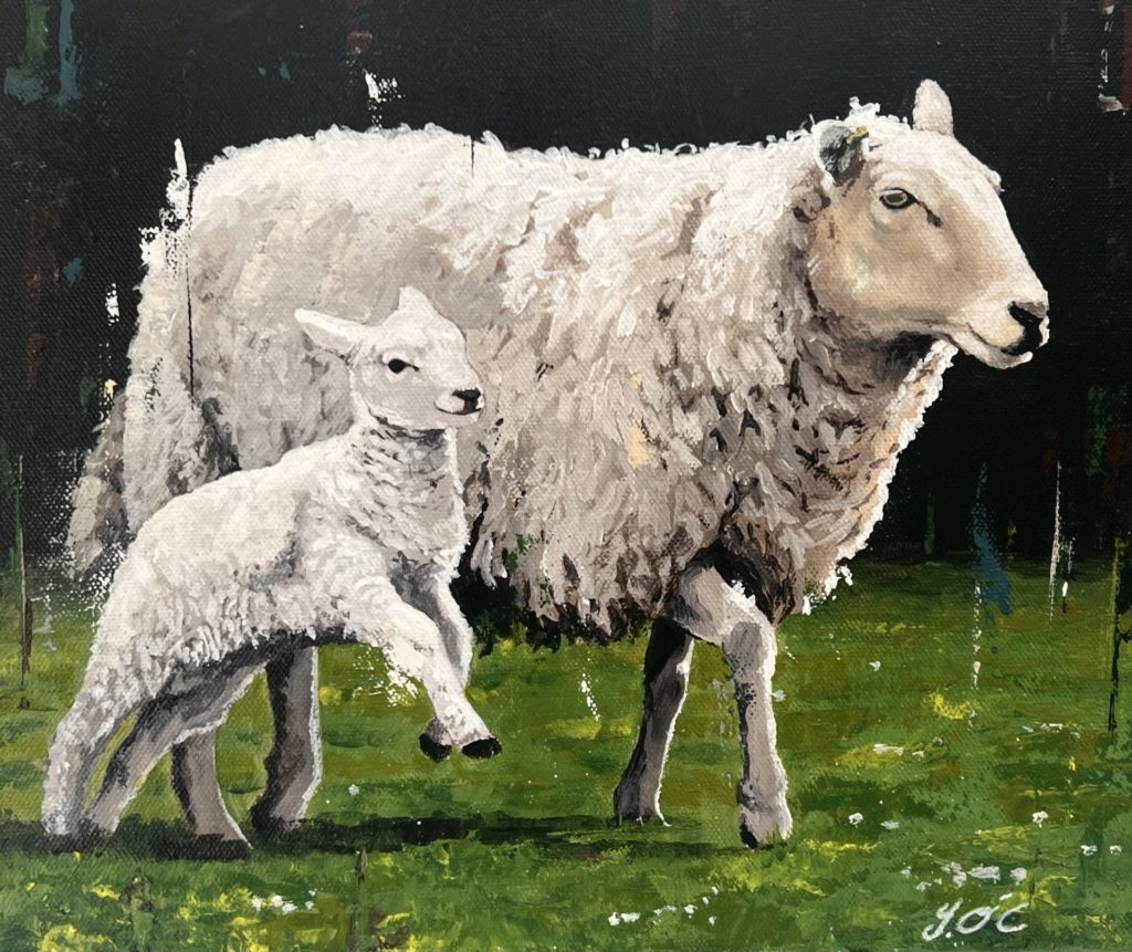Sheep | Painters – The Whitethorn Gallery