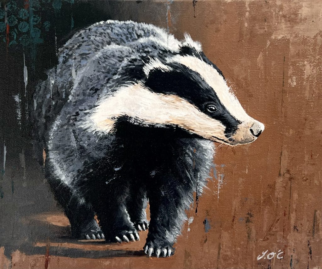 Badger | Jason O’Ceannobhain – The Whitethorn Gallery