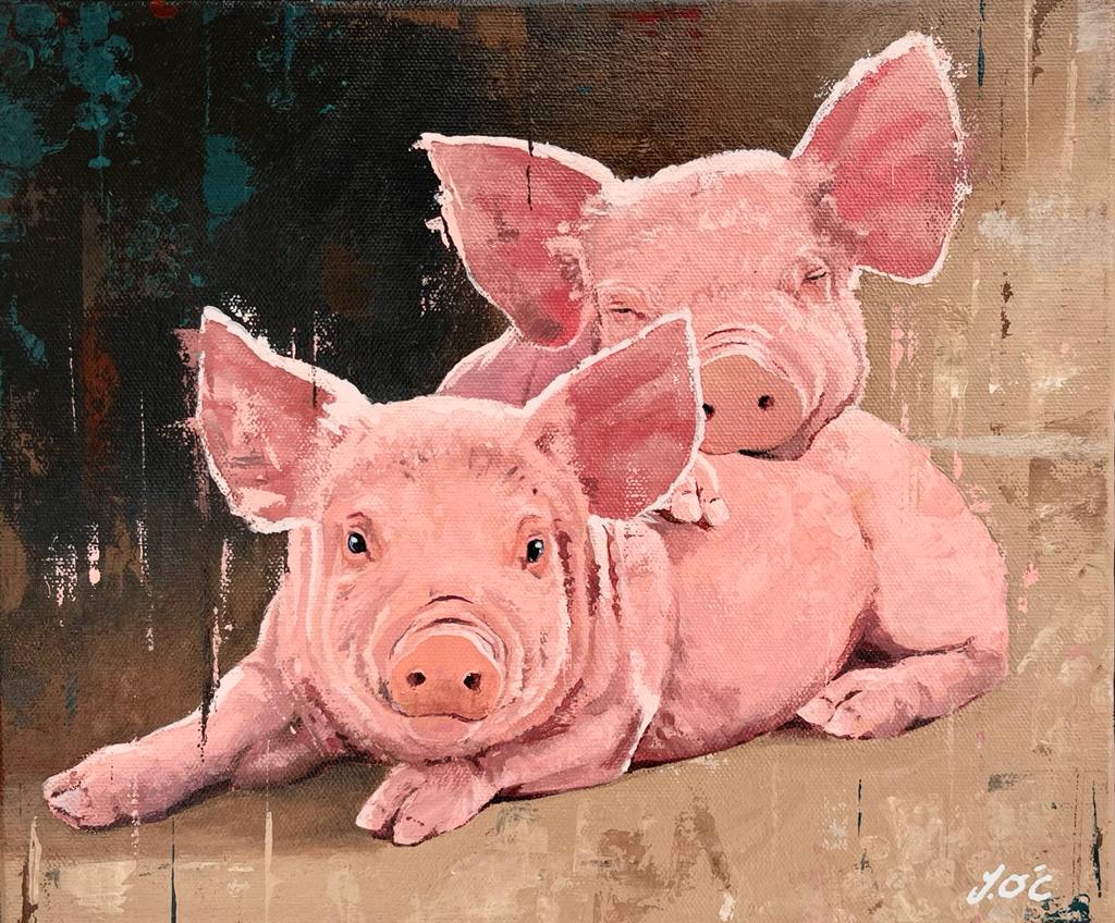 Pigs | Jason O’Ceannobhain – The Whitethorn Gallery