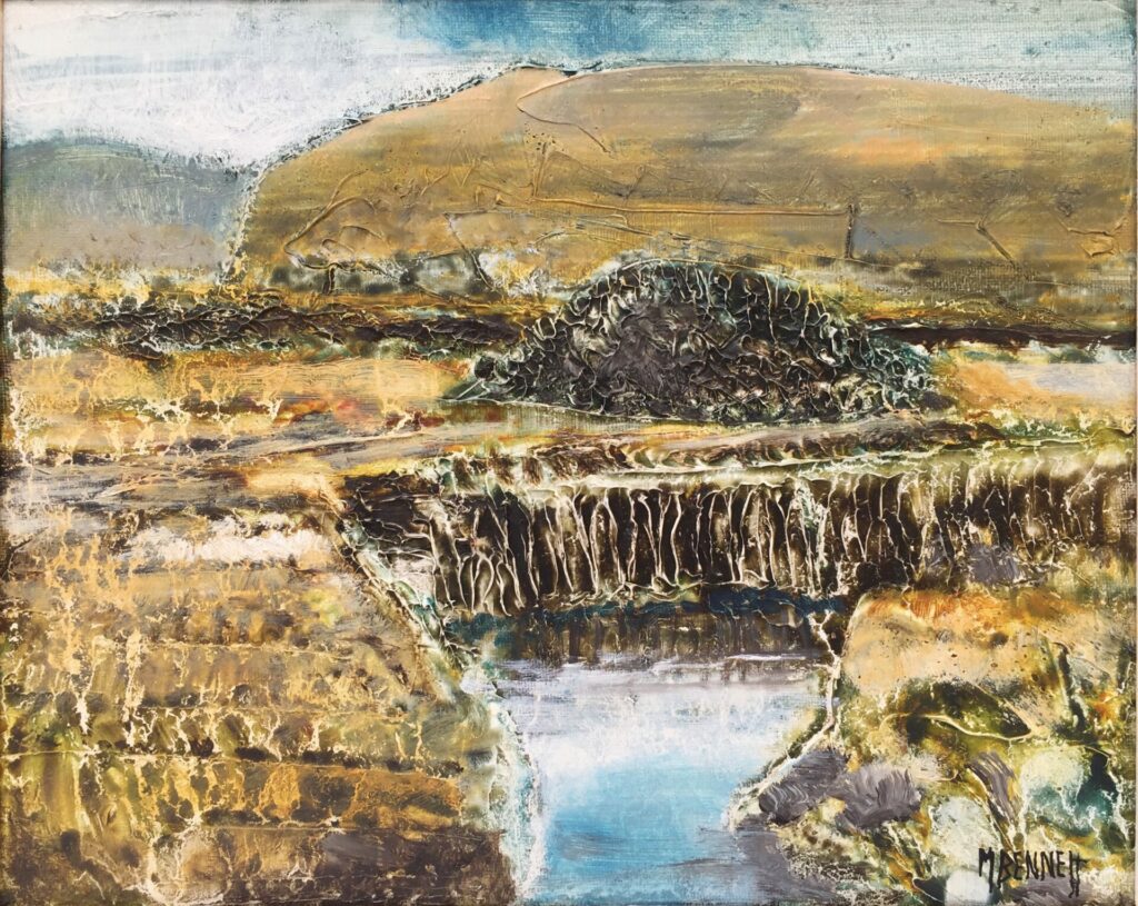 Western Bog | Malcolm Bennett – The Whitethorn Gallery